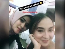 Taman Safari: Pelaku Pemberi Alkohol ke Kuda Nil Bukan Duta Kami!