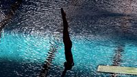 Melihat Aksi Memukau Atlet Aquatik Indonesia