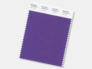 Apa Saja Warna Sekunder? Yuk Cari Tahu Pengertian dan Contohnya