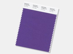 Apa Saja Warna Sekunder? Yuk Cari Tahu Pengertian dan Contohnya