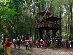 Imbas Erupsi Gunung Agung, Sektor Pariwisata Banyuwangi Meningkat