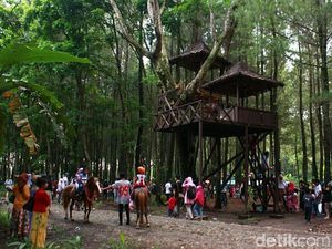 Imbas Erupsi Gunung Agung, Sektor Pariwisata Banyuwangi Meningkat Imbas Erupsi Gunung Agung, Sektor Pariwisata Banyuwangi Meningkat