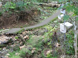 Belasan Desa di Purworejo Terdampak Tanah Bergerak