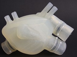 Peneliti Berhasil Kembangkan Jantung Buatan dari Silikon