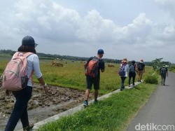 Yang Baru dan Sehat di Banyuwangi, Paket Wisata Jalan Kaki