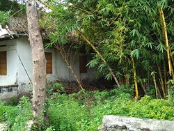 Rumah di Blitar yang Diviralkan Berhantu Kondisinya Kosong 10 Tahun