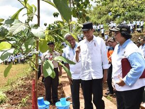 Jejak Inspiratif Warga Jabar Berjuang Tanam dan Rawat Pohon Jejak Inspiratif Warga Jabar Berjuang Tanam dan Rawat Pohon