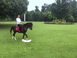 Survei Capres LSI Denny JA: Jokowi 38,4%, Prabowo 24,6%, Gatot 7,5%