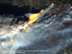 Kebakaran Hutan di California: Jilatan Api Terlihat dari Angkasa