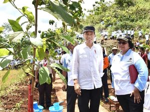 Jokowi: Gerakan Tanam Pohon Jangan Hanya Seremonial