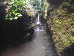 Weekend Getaway di Bogor, Bisa Wisata Alam Hingga Sejarah