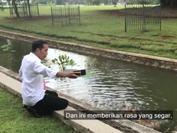 Jokowi Nge-Vlog: Beri Makan Rusa hingga Naik Kuda Istana