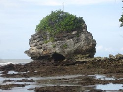 Yang Unik di Nusakambangan, Pantai Karang Bolong