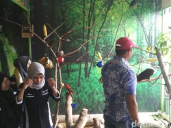 Yang Baru di Gorontalo: Kebun Binatang Mini