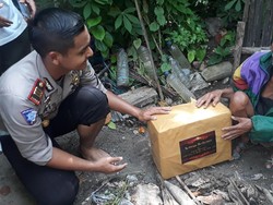 Cerita Mbah Panidin, 32 Tahun Hidup Sendiri di Tengah Hutan