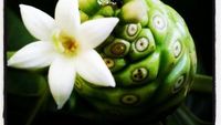 Ini 6 Buah Eksotik dari Asia yang Populer di Dunia