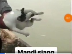 Viral Video ABG Ayun-ayun Kucing Lalu Dilempar ke Sungai