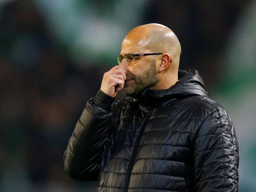 Leverkusen Tunjuk Peter Bosz Jadi Pelatih Baru Leverkusen Tunjuk Peter Bosz Jadi Pelatih Baru