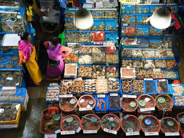 Yuk Intip, Suasana Pasar Ikan Noryangjin di Seoul, Korea Selatan