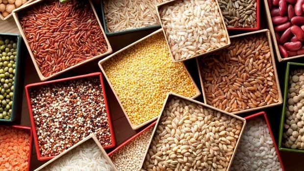 Varieties of grains seeds and beans.