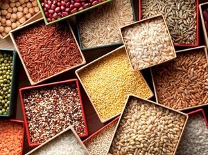 Agar Tak Cepat Pikun, Konsumsi Saja 9 Makanan Enak Ini! (1)