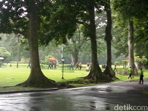 Sejumlah Perwira TNI dan Polri Bertemu Jokowi di Istana Bogor Sejumlah Perwira TNI dan Polri Bertemu Jokowi di Istana Bogor