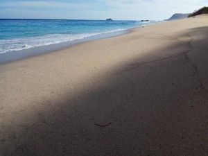 Ajaib! Pantai di Lembata Ini Bisa Berubah-ubah