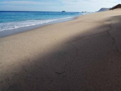 Ajaib! Pantai di Lembata Ini Bisa Berubah-ubah