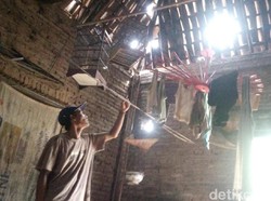 Rumah Dua Keluarga di Jepara Ini Nyaris Roboh
