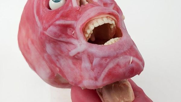 Mirip Asli, Mayat Sintetis Ini Dipakai untuk Praktikum Calon Tenaga Medis