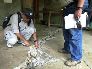 Begini Penjelasan PVMBG Soal Penyebab Tanah Bergerak di Purworejo