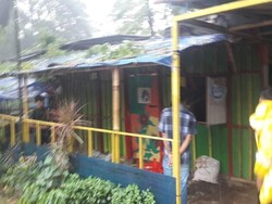 Pohon Tumbang di Kuningan Jaksel Timpa TK