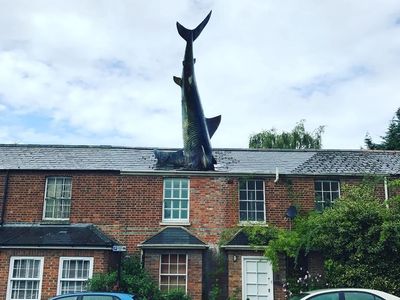 Foto: Ikan Hiu Nancep di Genteng