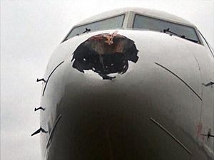 Hidung Pesawat Rusia Bolong Gara-gara Ciuman Dengan Burung