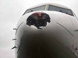 Hidung Pesawat Rusia Bolong Gara-gara Ciuman Dengan Burung