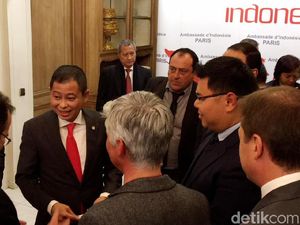 PLN Gandeng Prancis Bikin Pembangkit Tenaga Angin dan Matahari