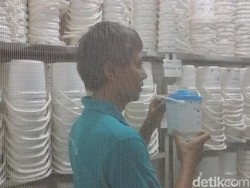 Memutus Siklus DBD, Para Ahli Serangga di Yogya Melakukan Hal Ini