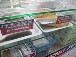 Liburan ke Semarang, Pulangnya Bawa Bandeng