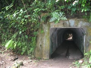 Trekking di Pulau Nusakambangan, Berani?