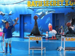 Ajak Anak-anak Liburan Akhir Tahun ke Malang, Ini Destinasinya