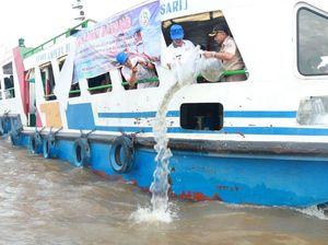 KKP Tebar 270 Ribu Benih Ikan di Sungai Musi