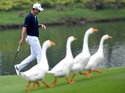 Cerita di Balik Performa Gemilang Justin Rose