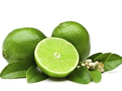 7 Manfaat Jeruk Nipis dan Kandungan Gizinya