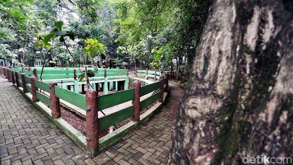Nasib Hutan Kota Kampung Dukuh yang Tidak Terawat