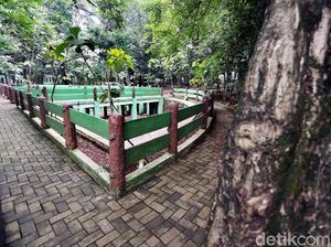 Nasib Hutan Kota Kampung Dukuh yang Tidak Terawat Nasib Hutan Kota Kampung Dukuh yang Tidak Terawat