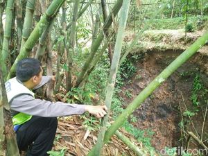 Terpeleset, Nenek di Banjarnegara Tewas Jatuh ke Jurang Terpeleset, Nenek di Banjarnegara Tewas Jatuh ke Jurang