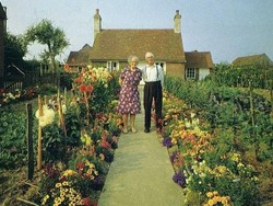 Ada Kisah Haru di Balik Pasangan Tua yang Tiap Bulan Foto Bersama