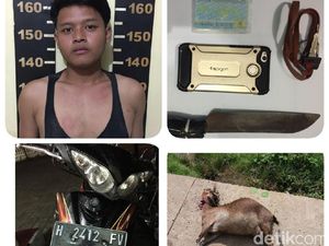 Curi Kambing di Tengah Sawah, Restu Ditangkap di Tangerang