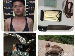 Curi Kambing di Tengah Sawah, Restu Ditangkap di Tangerang