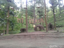 Menengok Surga Tersembunyi di Kampung Idiot Ponorogo